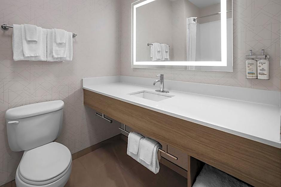 Holiday Inn Express Syracuse-Fairgrounds by IHG
