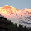 Alpenkräuter Hotel Bären