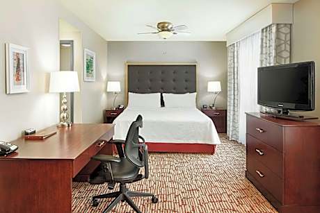 1 King Bed Studio Suite Nonsmoking