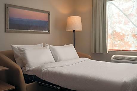King Suite with Bathtub and Sofa Bed - Mobility Access/Hearing Accessible