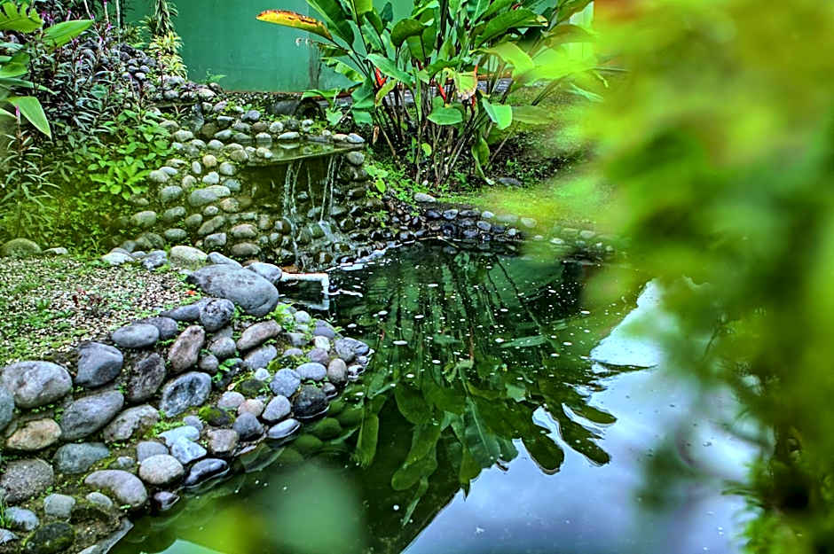 Hotel Mountain Paradise