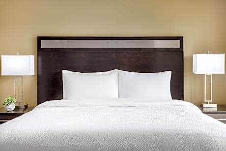 Studio, 1 King Bed with Sofa bed (Mobility/Hearing Accessible, Tub)