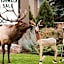 Quality Inn near Rocky Mountain National Park