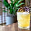 Godfrey Hotel Chicago