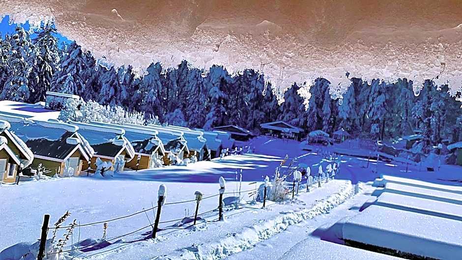 Mashobra Greens Shimla