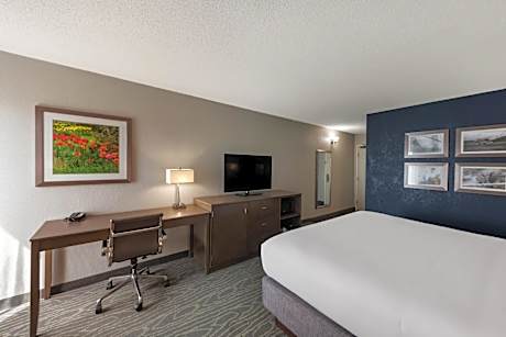 1 King Bed, Nonsmoking