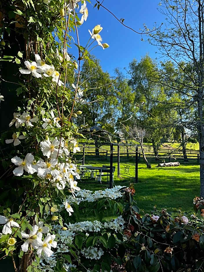 Green Gables B&B Waterfront Apartment or Garden Studio