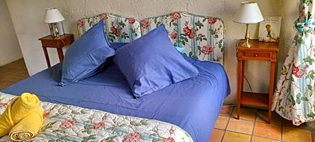 Double or Twin Room with Garden View