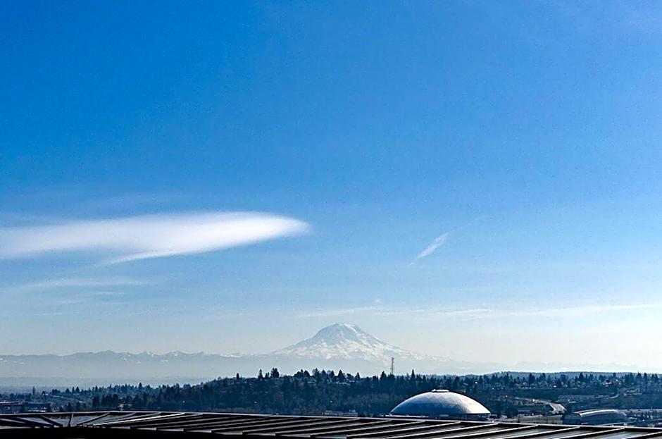 Self Check-in-washer-dryer-4ksmart Tv-king Bed-gym