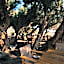 Aphrodite Beach
