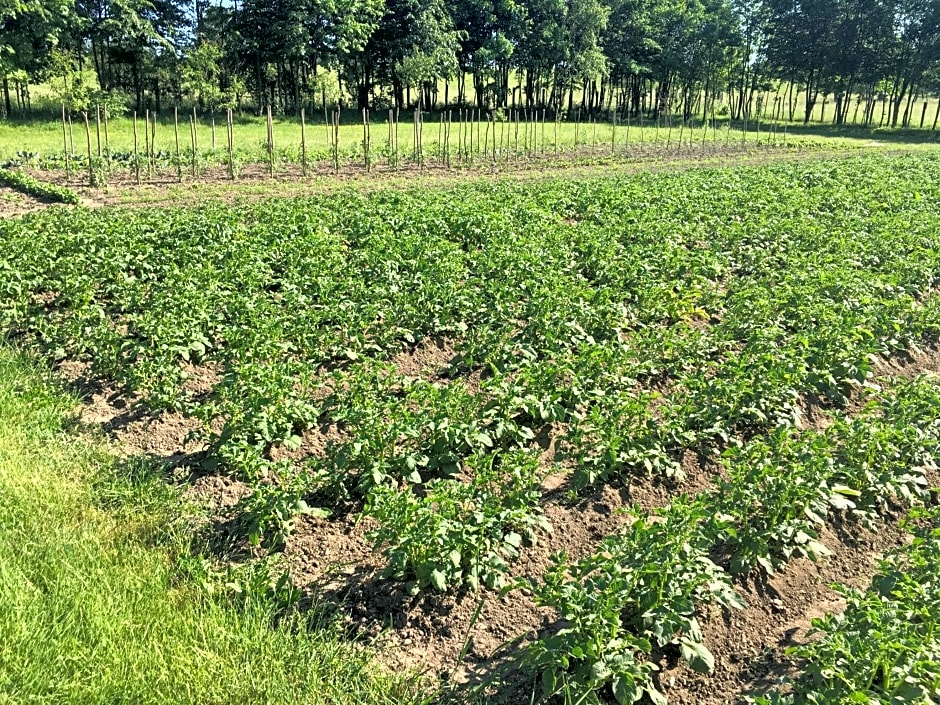 Pałac Pacółtówko