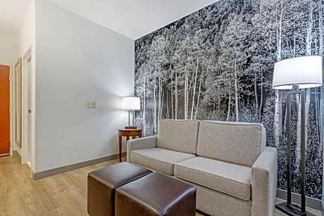 King Suite with Sofa Bed - Non-Smoking/Pet Friendly