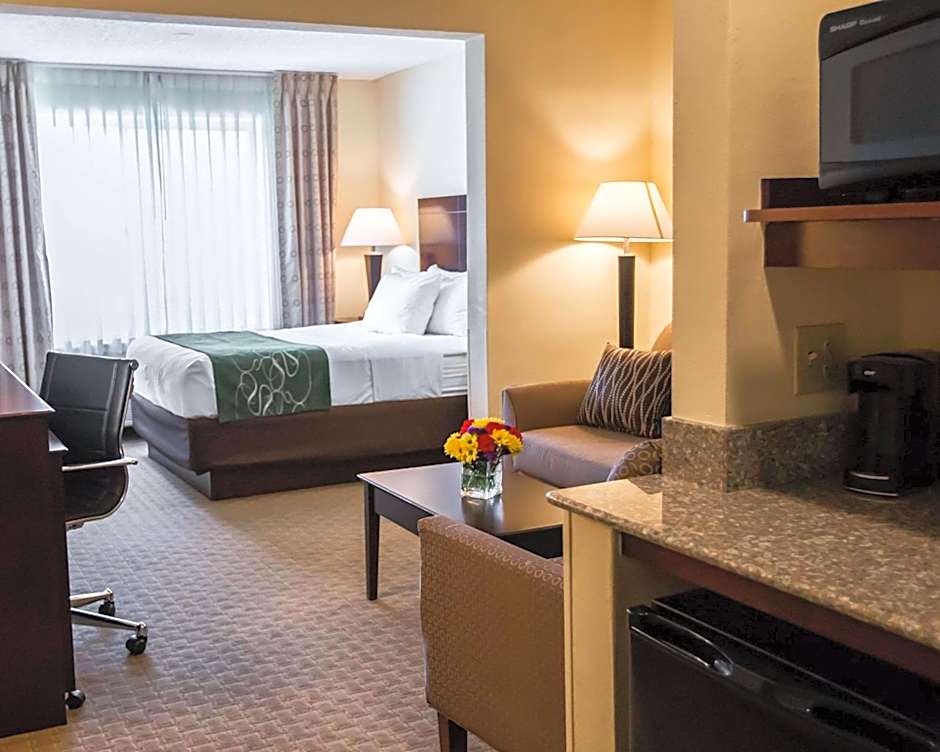 Comfort Suites University Area