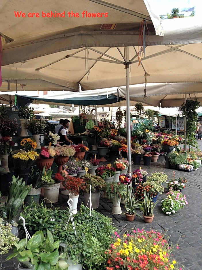 B&B In Piazza