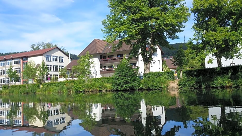 Hotel Schiff Nagold