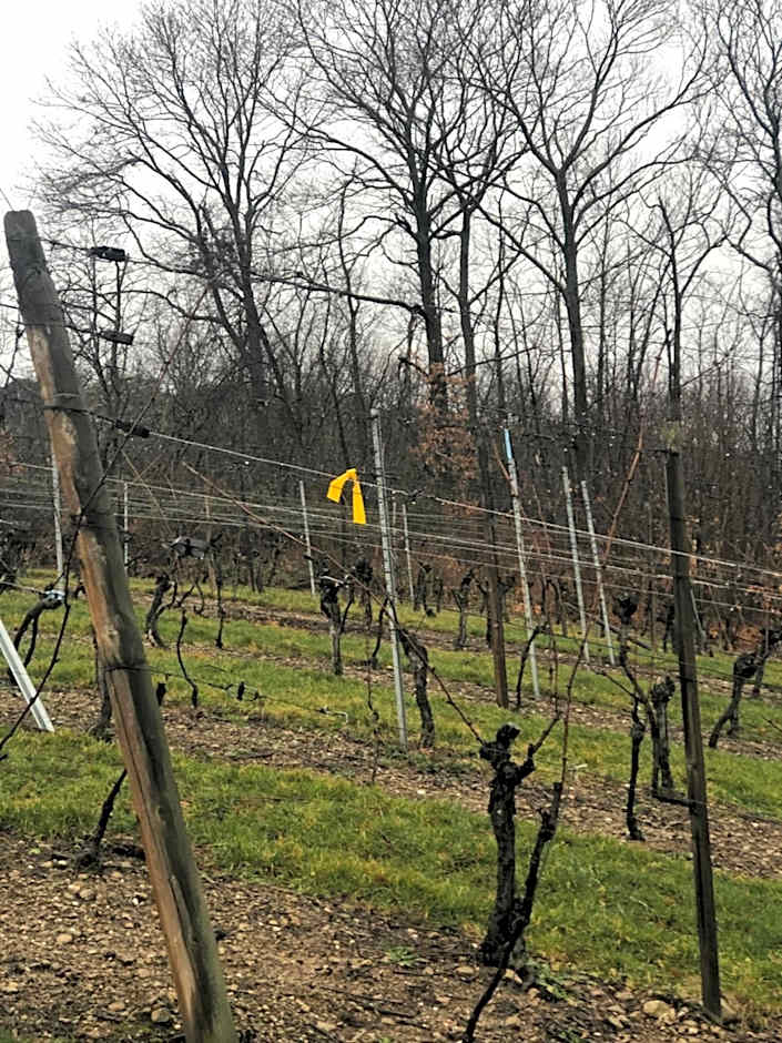 La Maison de juliette