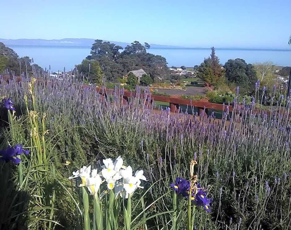Te Aputa Lodge formerly La Casa Te Puru Lodge