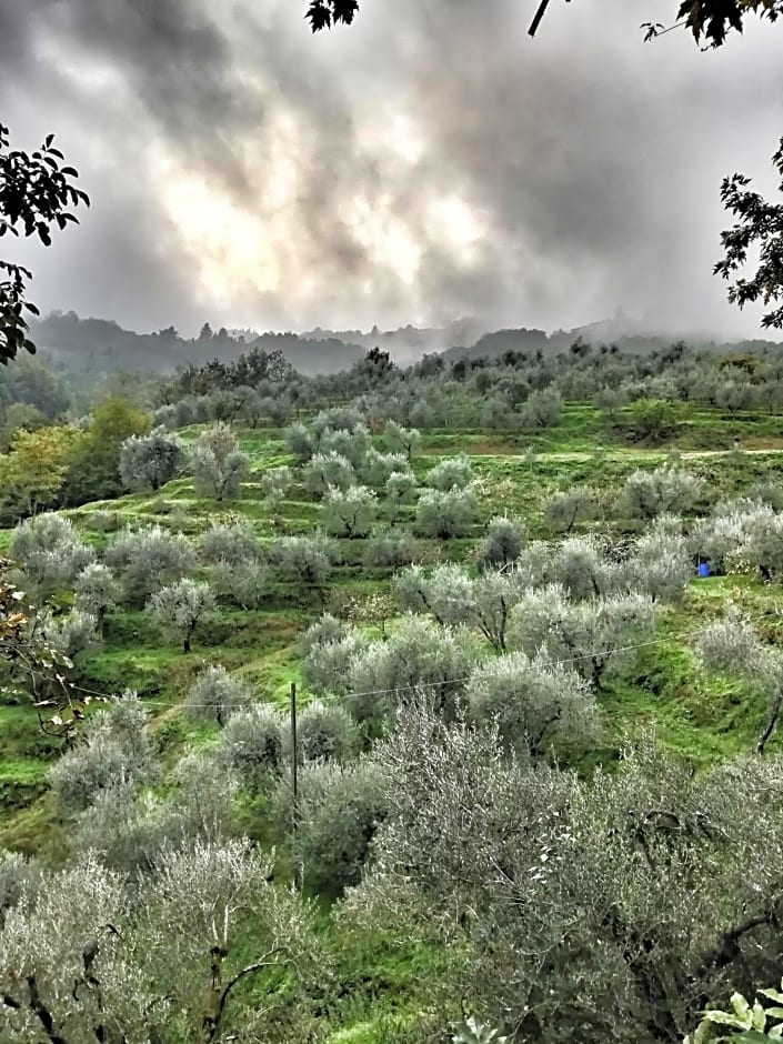 Agriturismo Tananei