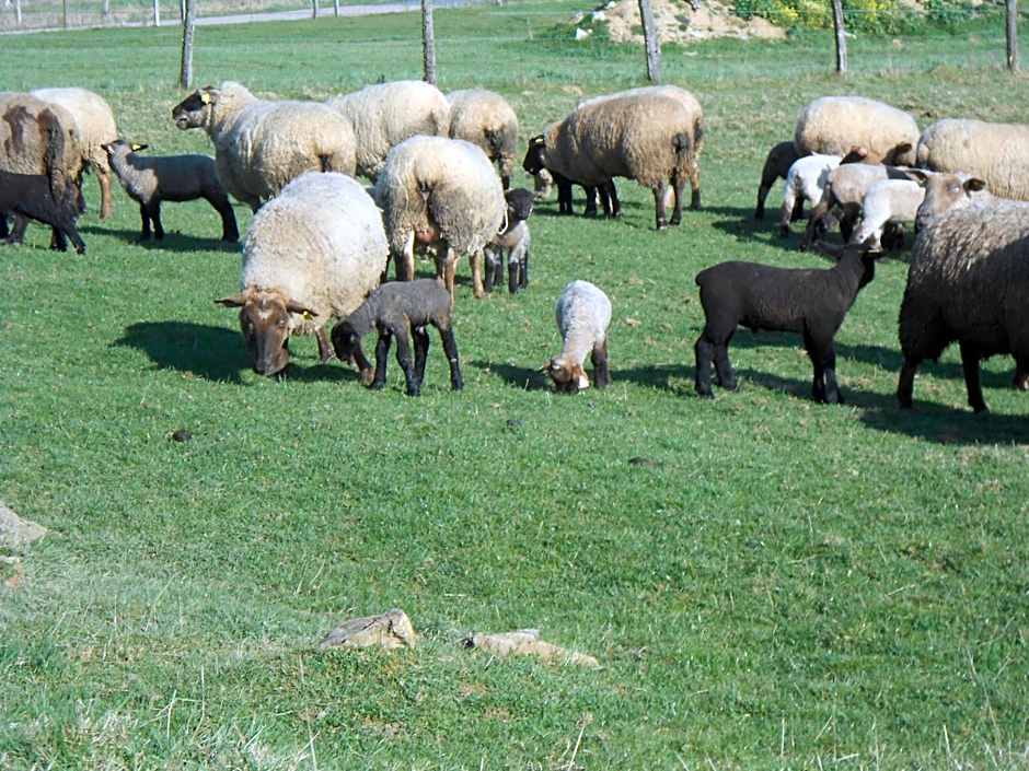 La Ferme des 3 Suissesses