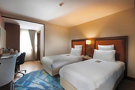 Superior Twin Room with Free Spa Access