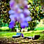 Villa La Dogana B&B di Charme - Historic Villa with a beautiful garden - private parking