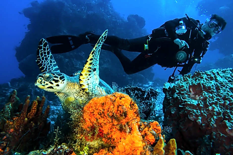 Cozumel Palace - All Inclusive