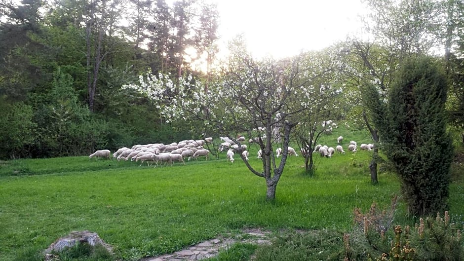 Chalúpka pod Lipkami