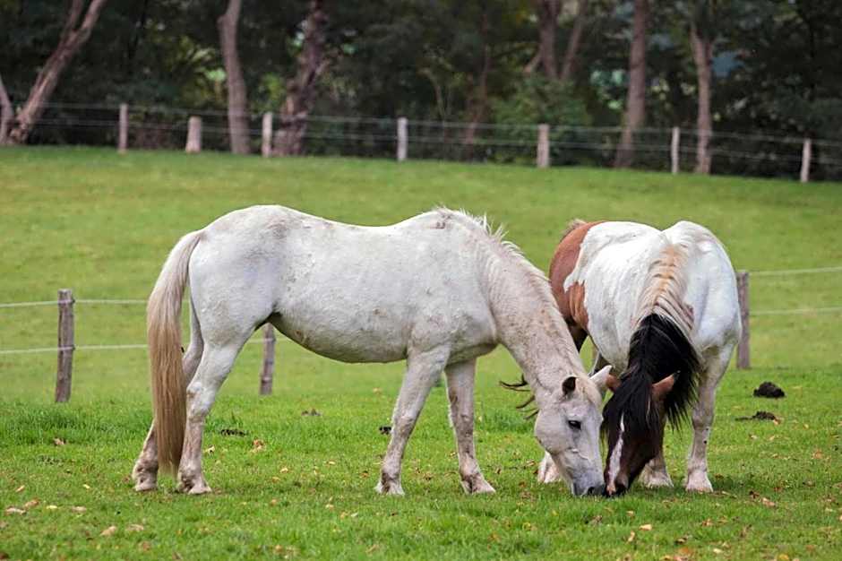 Hotel Fürstenberger Hof