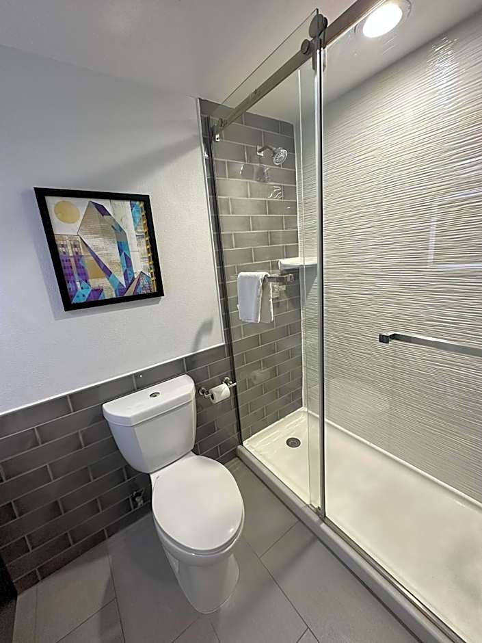 Holiday Inn Express - Dallas Downtown By IHG