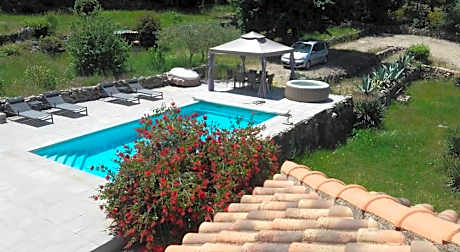 frederique lavande bleue