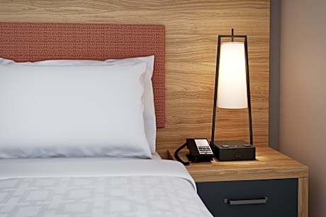 1 King Studio Suite Bath Shower Combination