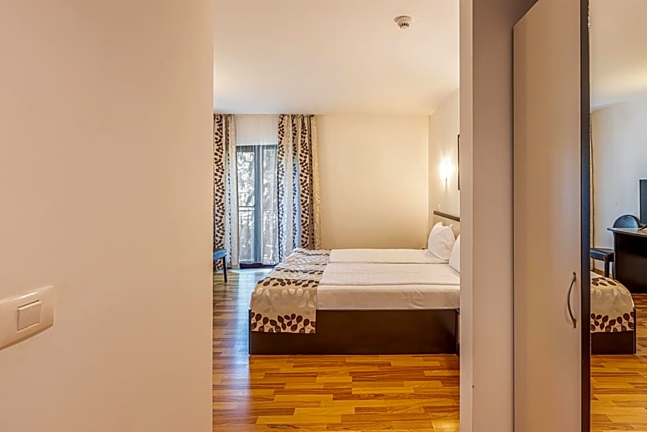 Hotel Anina