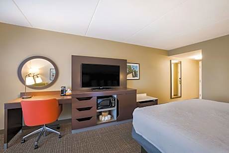 King Room with King Bed - Non-Smoking