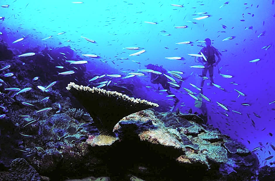 Chez Ronald Guest House