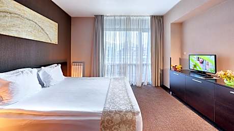 Executive One-Bedroom Apartment