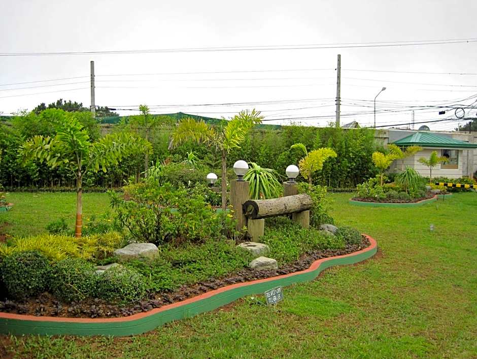 Hollywood Drive-In Hotel