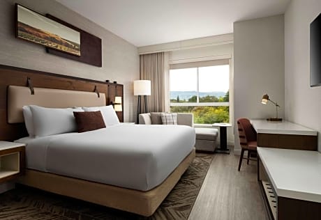 1 King Bed Hearing Accessible