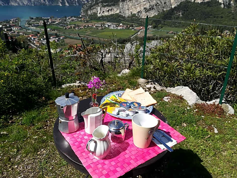 Garden Belvedere B&B