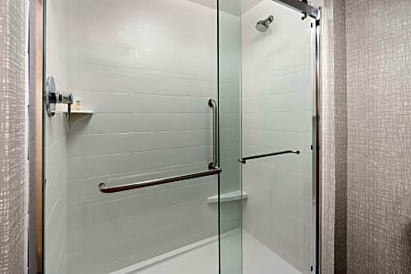 1 King W/Microwv/Fridge Studio Suite Nonsmoke