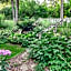 Bellaire Bed  Breakfast