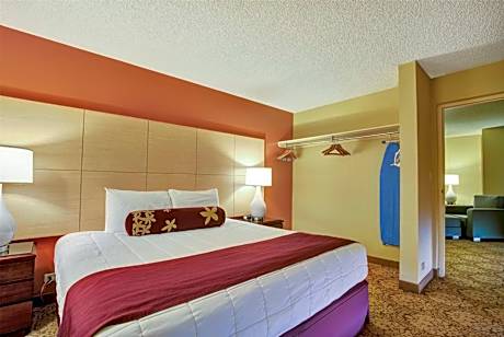 1 King Bed 1-Bedroom Junior Suite Banyan View Non-Smoking