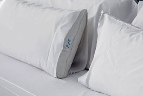 PURE® Allergy-Friendly, Guest room, 1 Queen, Sofa bed