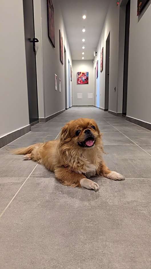 DORM BG pet-friendly Aparthotel