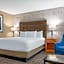 Drury Plaza Hotel St. Louis Union Station