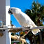 The Village of Baytowne Wharf at Sandestin Golf and Beach Resort