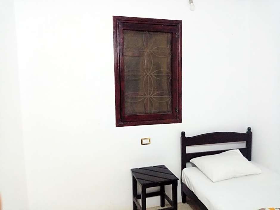 Oasis Fighting Kangaroo