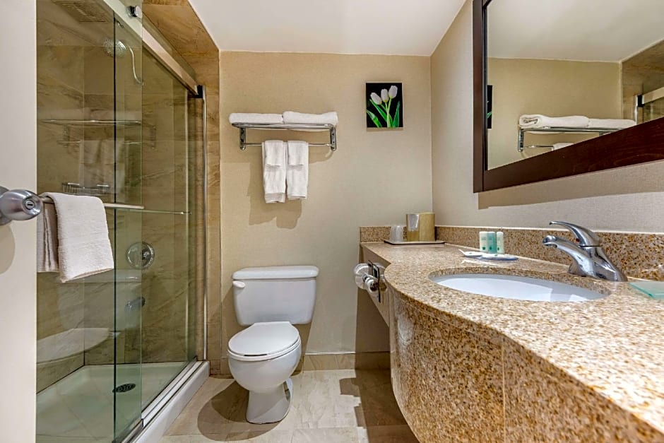 Quality Inn & Suites Brampton