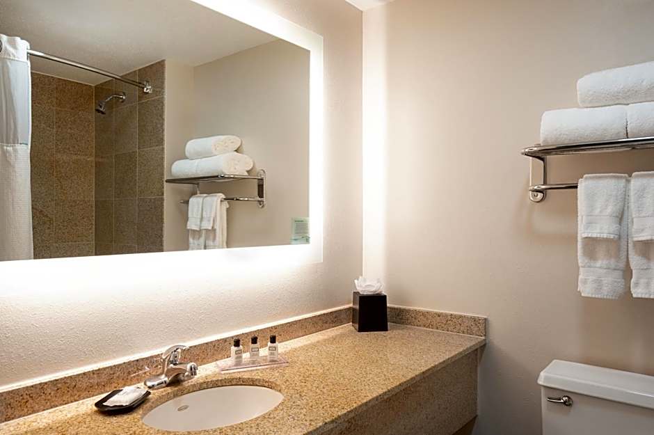 Wyndham Indianapolis Airport