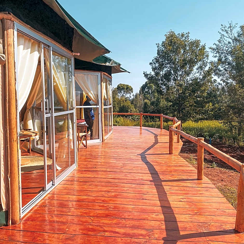 Foresight Eco Lodge & Safari