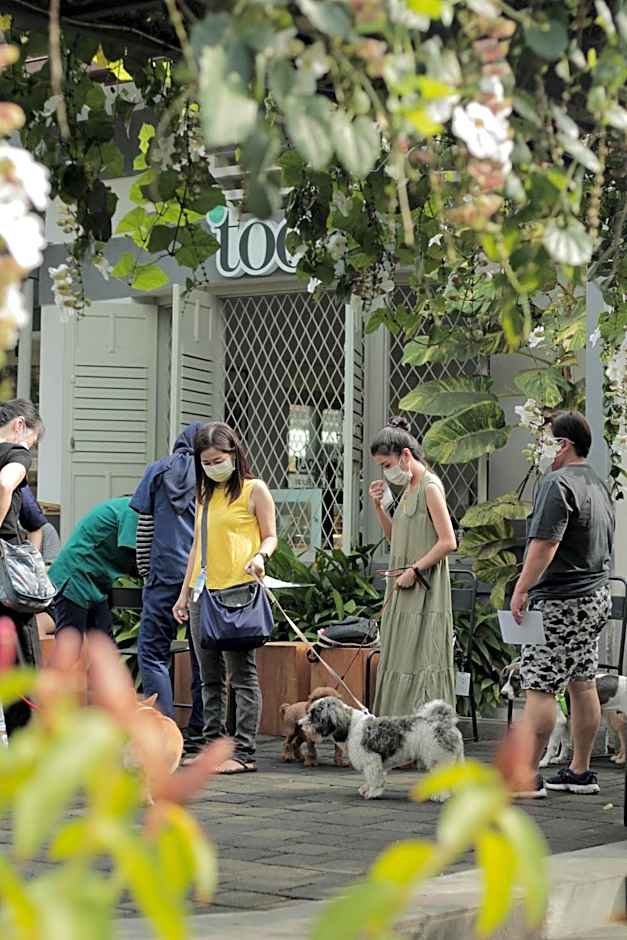 The Shalimar Boutique Hotel